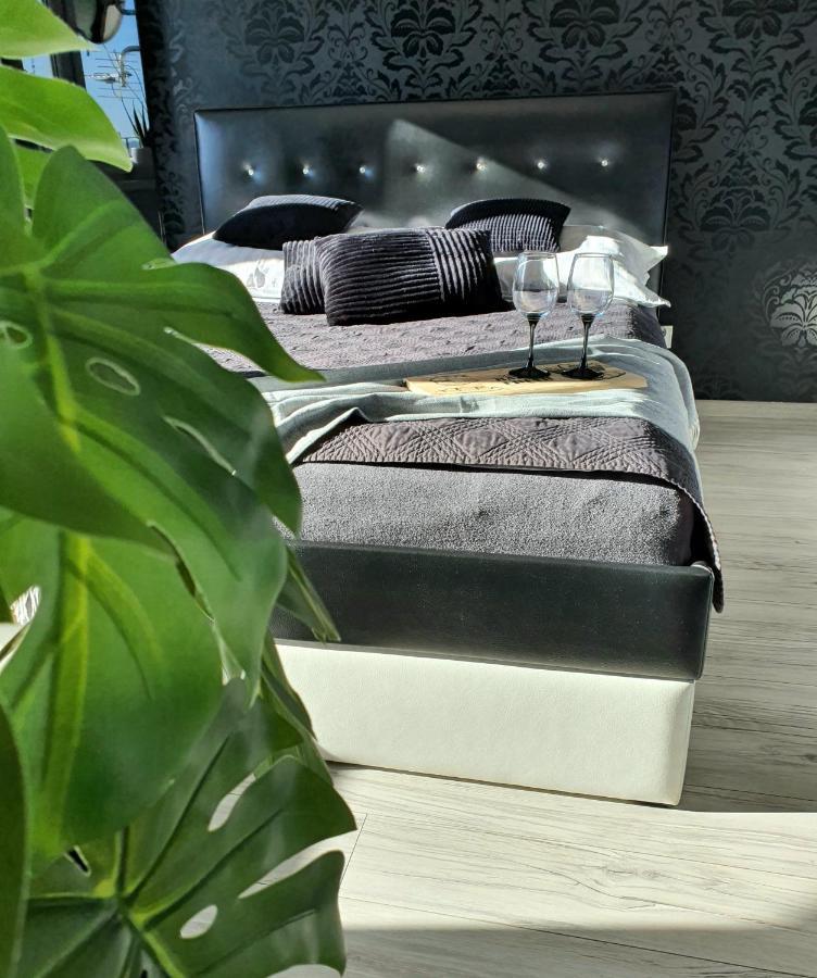 Spoldzielcza 22 Apartament Sky Line Kłodzko Eksteriør bilde