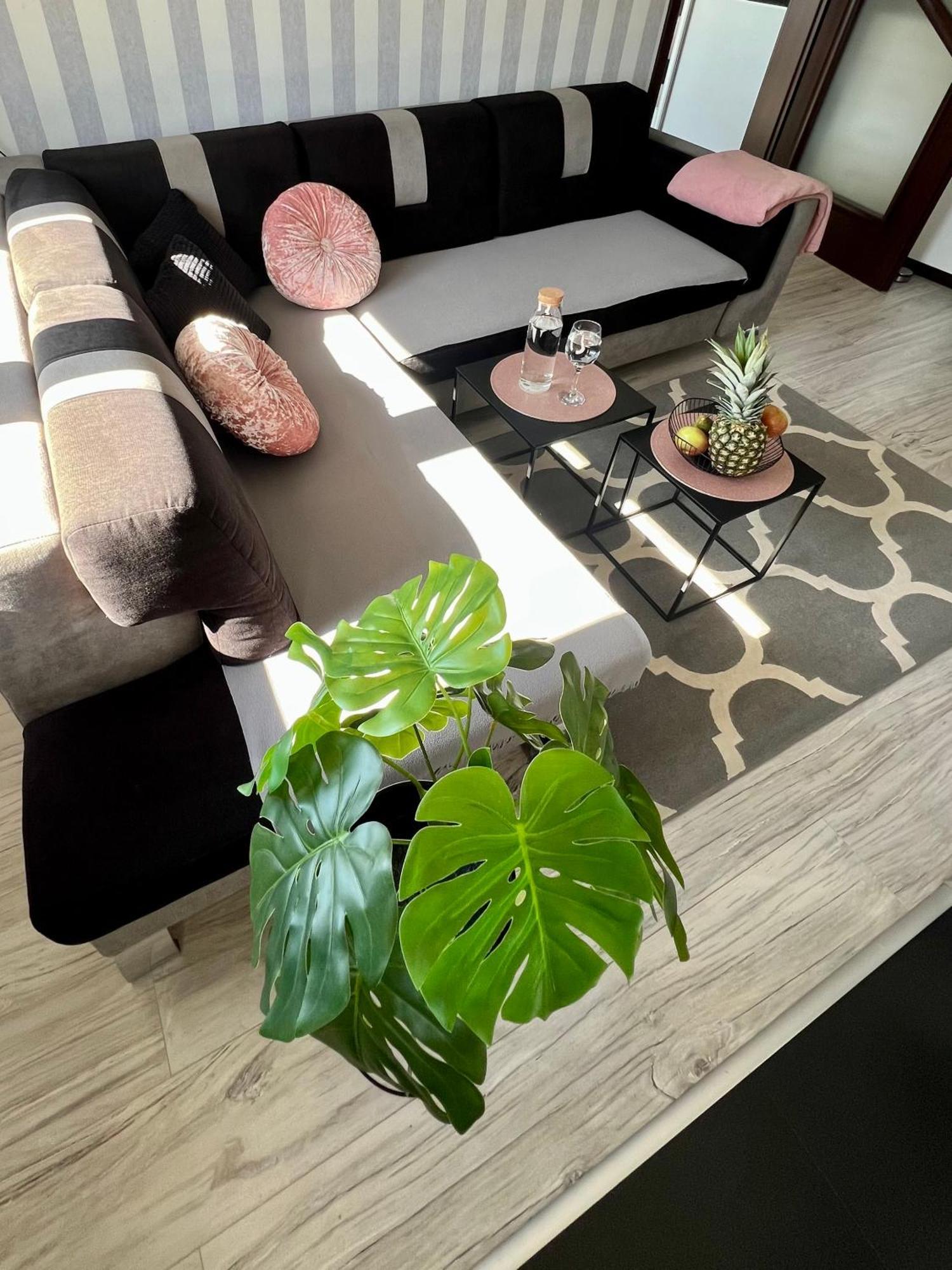 Spoldzielcza 22 Apartament Sky Line Kłodzko Eksteriør bilde